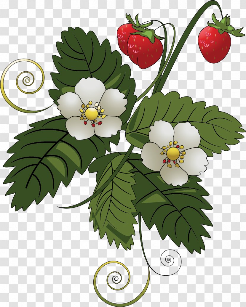 Strawberry Pie Fruit Clip Art - Leaf Vegetable - Flower Vine Transparent PNG