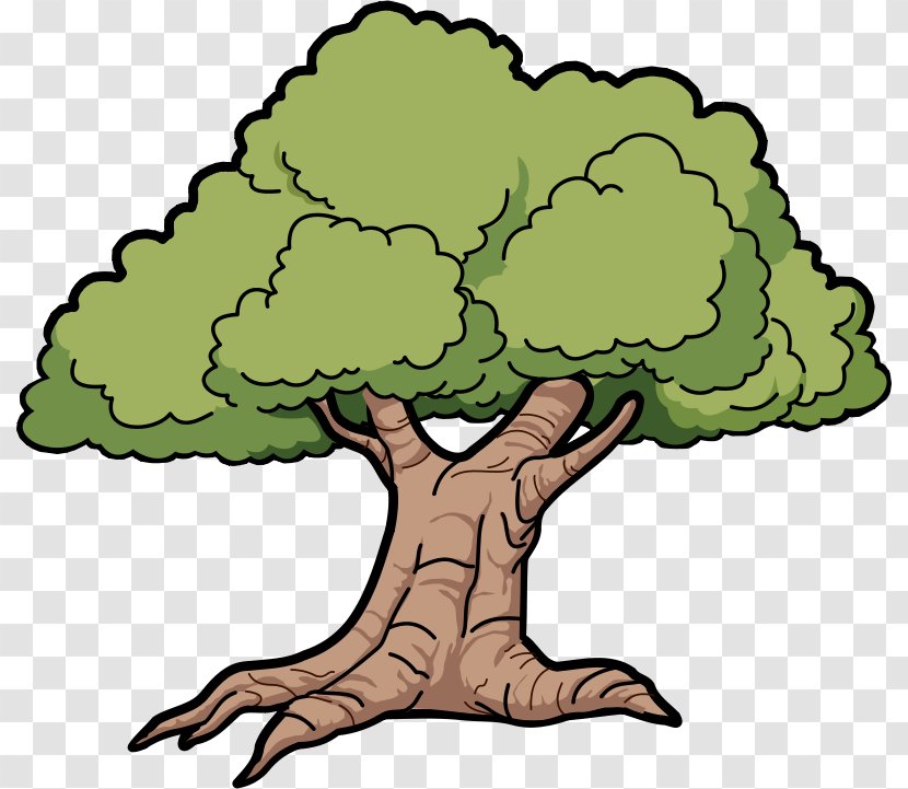 Tree Cartoon Drawing Clip Art - Plant - Green Forest Trees Clipart Transparent PNG