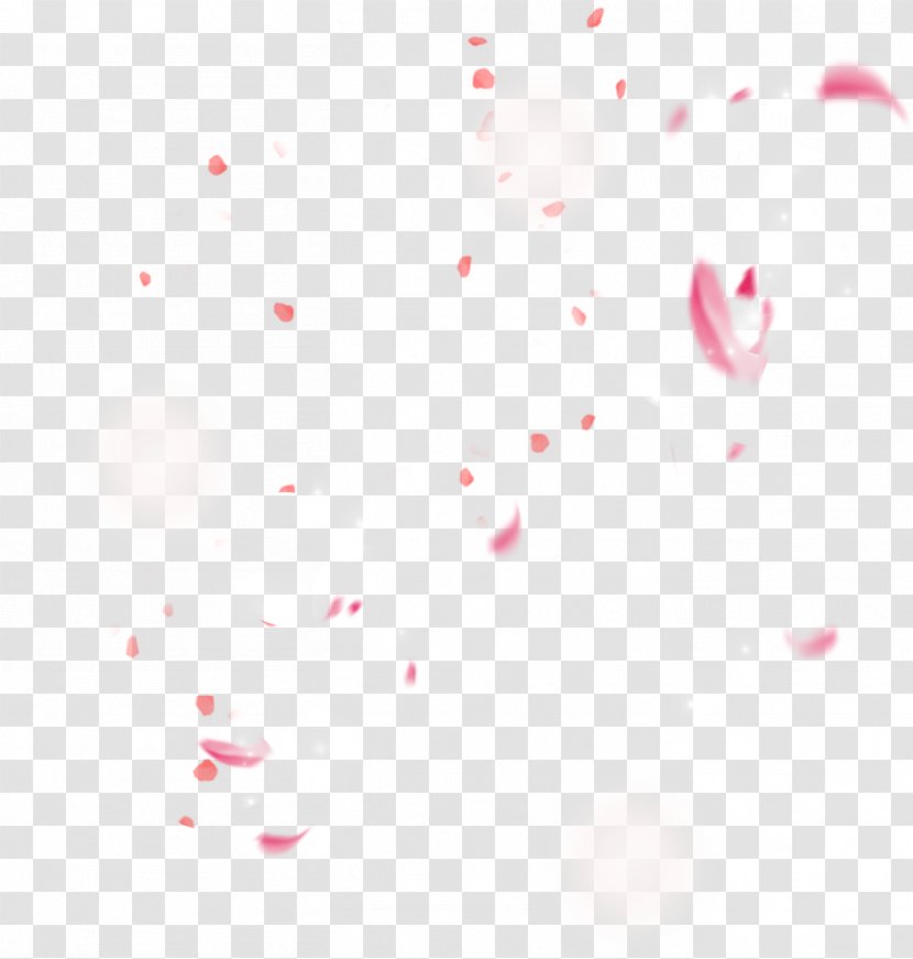 Cherry Blossom Petal - Close Up Transparent PNG