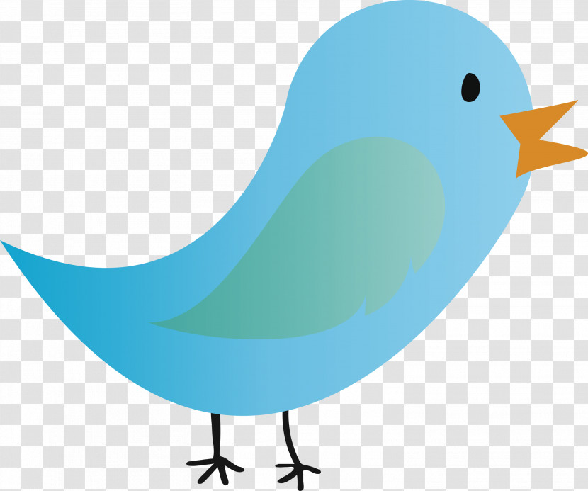 Bird Beak Songbird Bluebird Perching Bird Transparent PNG