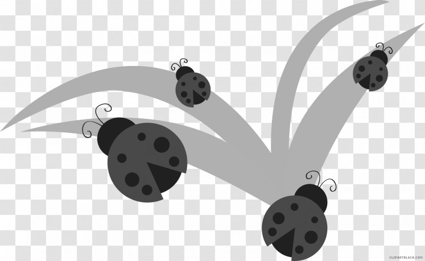 Clip Art Free Content Ladybird Beetle Openclipart - Technology - Little Lady Ladybug Transparent PNG