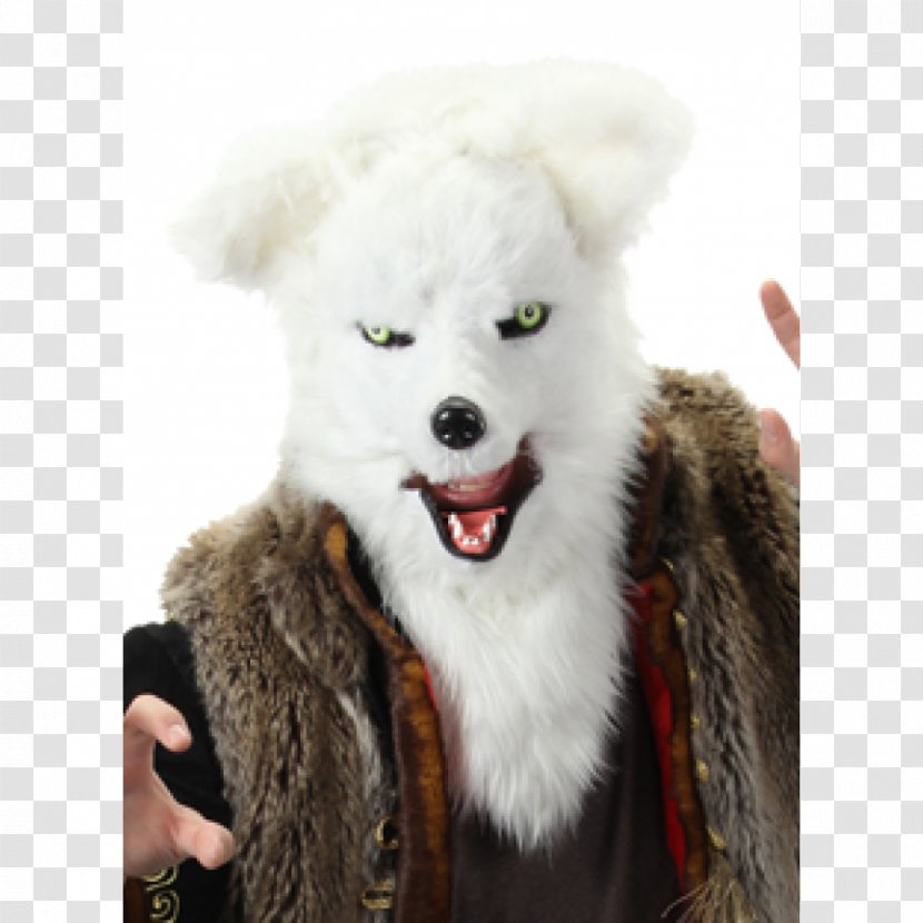 Costume Mask Mouth Tiger Gray Wolf - Hat - Dog Transparent PNG