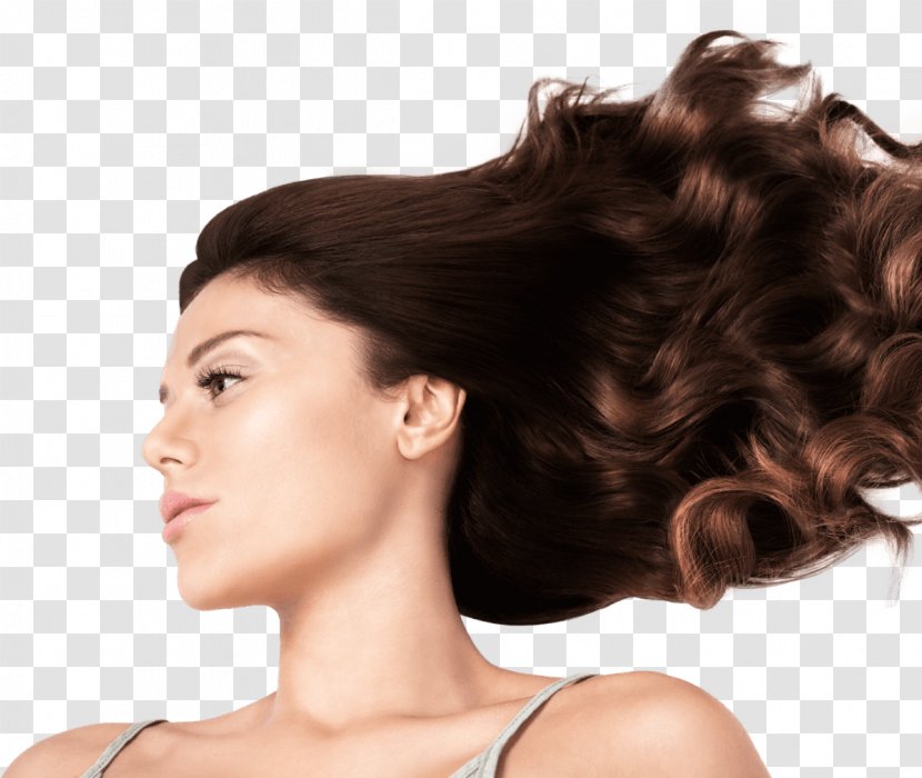 Long Hair Coloring Step Cutting Layered - Morrocan Transparent PNG