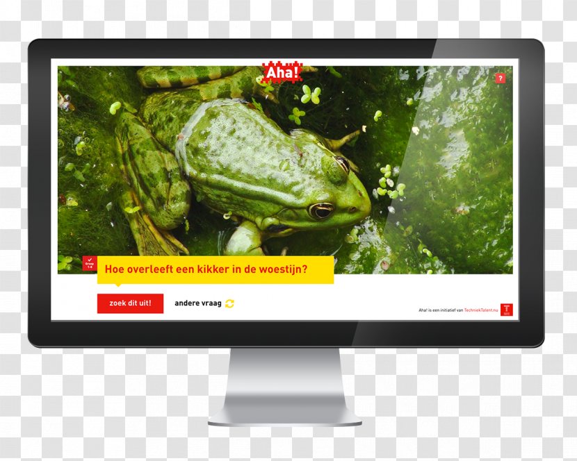 Amphibian Computer Monitors Display Advertising Multimedia Transparent PNG