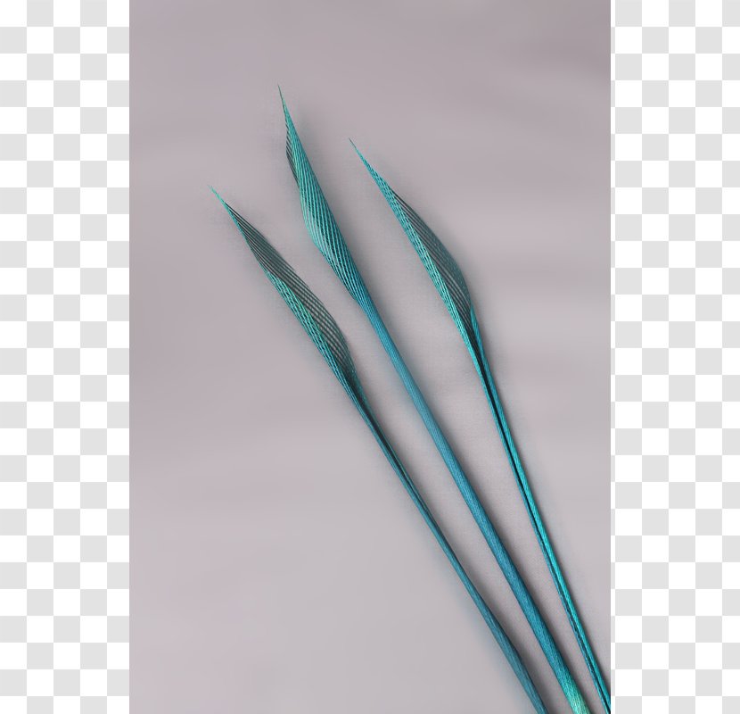 Line Angle Feather Turquoise Transparent PNG