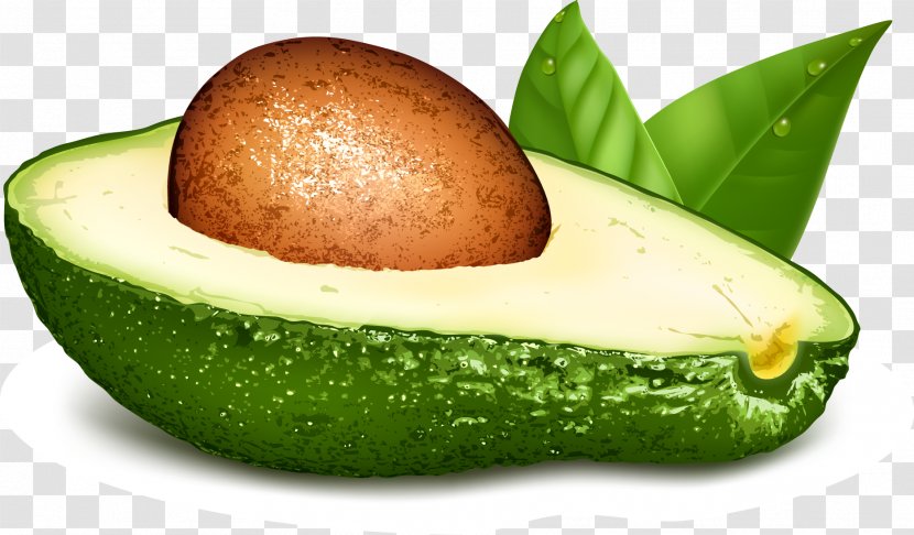 Avocado Papaya Euclidean Vector Food Transparent PNG