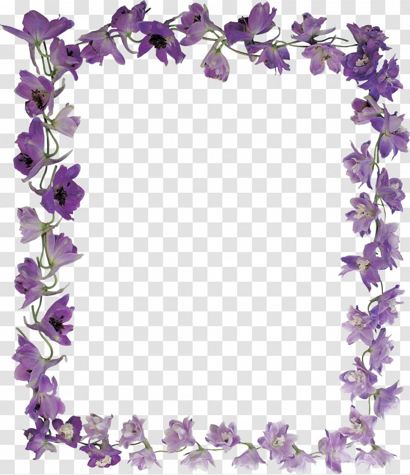 Picture Frames Flower Violet Purple - Pearls Transparent PNG