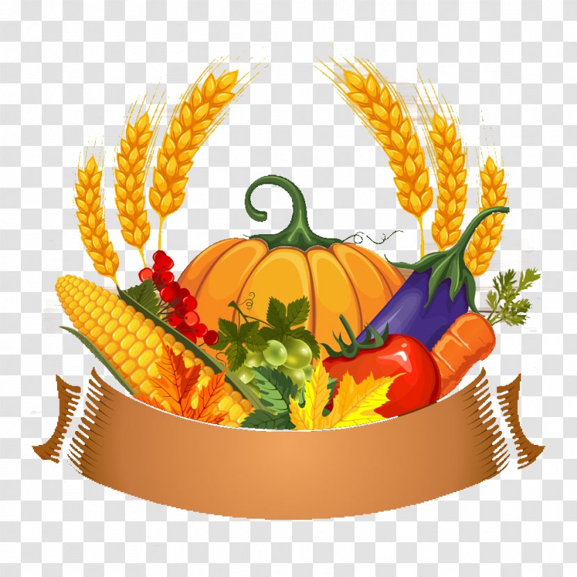 Pumpkin Thanksgiving Download - Cucurbita Transparent PNG