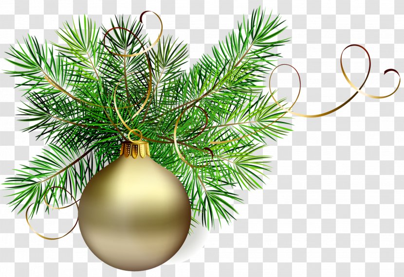 Christmas Ornament Santa Claus Clip Art - Lights - Transparent Gold Ball With Pine Clipart Transparent PNG