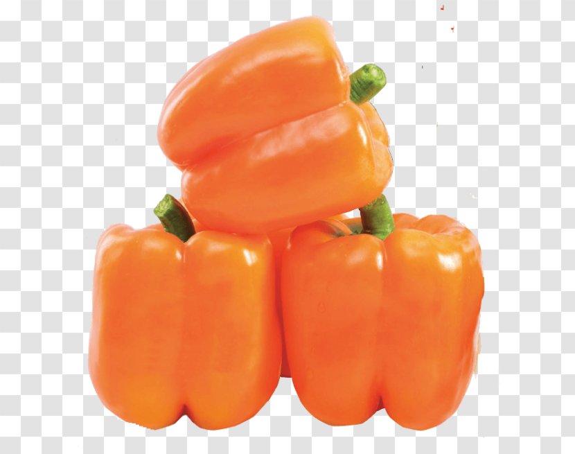 Bell Pepper Chili Vegetable Dolma Stuffing Transparent PNG