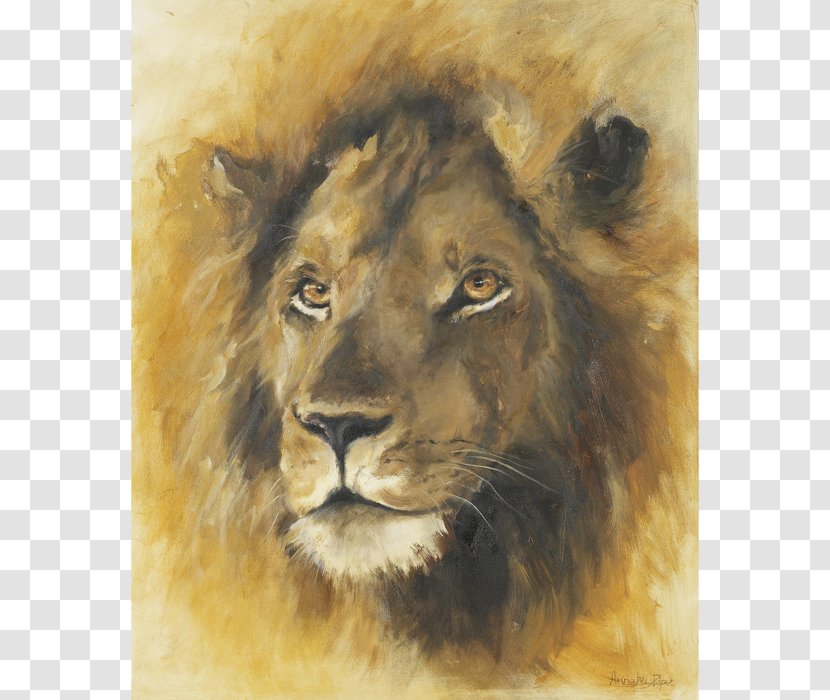 East African Lion Whiskers Watercolor Painting Wildlife Fauna - Paint Transparent PNG