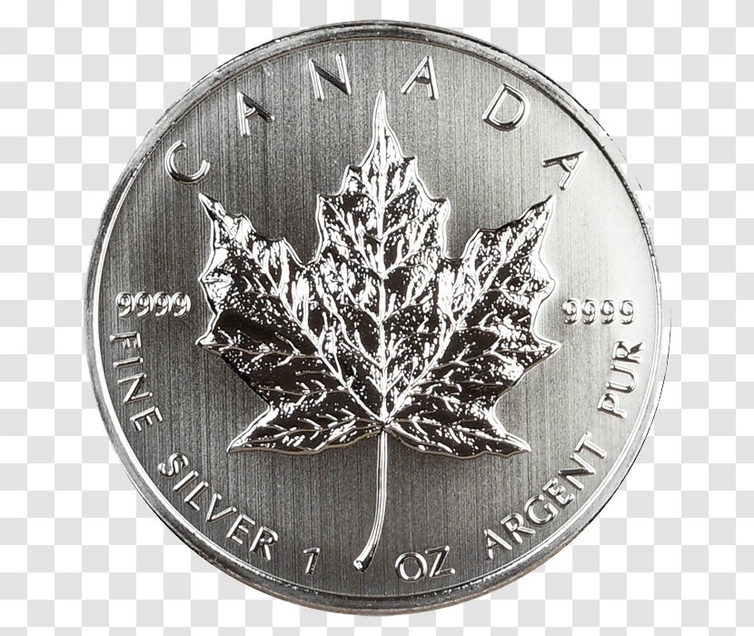Coin Silver Tree - Money - Uncirculated Transparent PNG