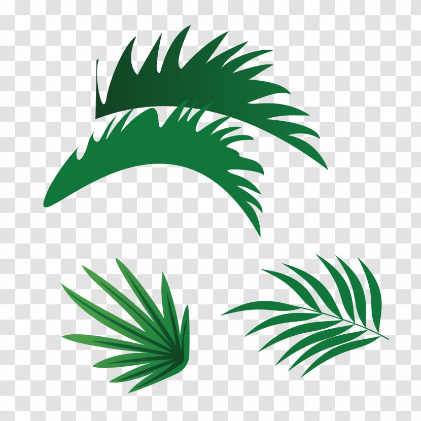 Leaf Paper - Grass - Green Vector Palm Leaves Transparent PNG