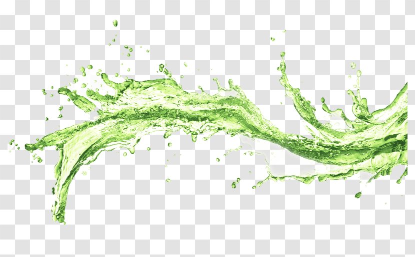 Image Mineral Water Desktop Wallpaper - Botany Transparent PNG
