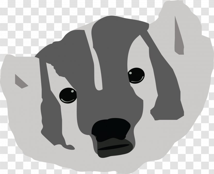 Dog Bear Cat Snout - Mammal Transparent PNG