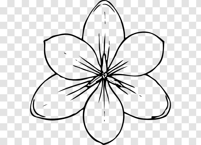 Coloring Book Flower Child Southern Magnolia - Adult - Tropical Line Cliparts Transparent PNG