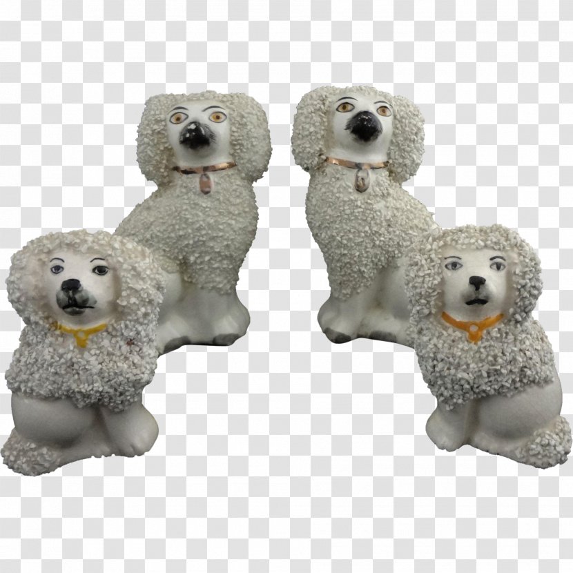Standard Poodle Cockapoo Miniature Puppy - Dog Breed Transparent PNG