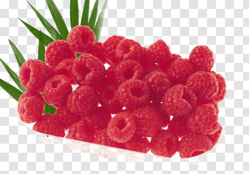 Mulberry Fruit Platter Christmas - Produce - High Definition Television Transparent PNG
