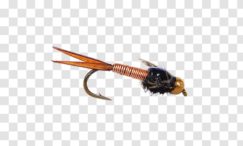 Fly Fishing Woolly Bugger Artificial Trout Flies: Proven Patterns Transparent PNG