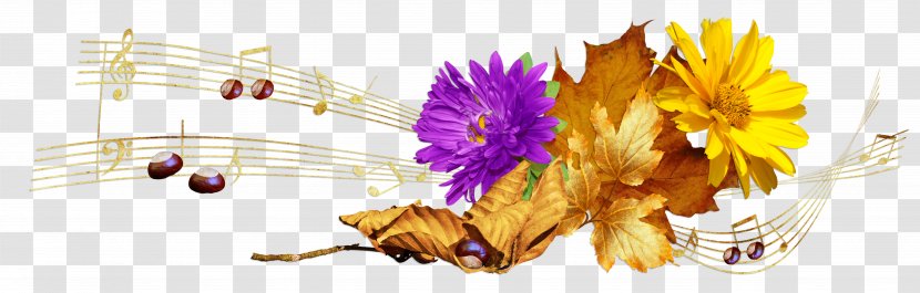 Desktop Wallpaper Composition Sketch - Flower - Autumn Transparent PNG