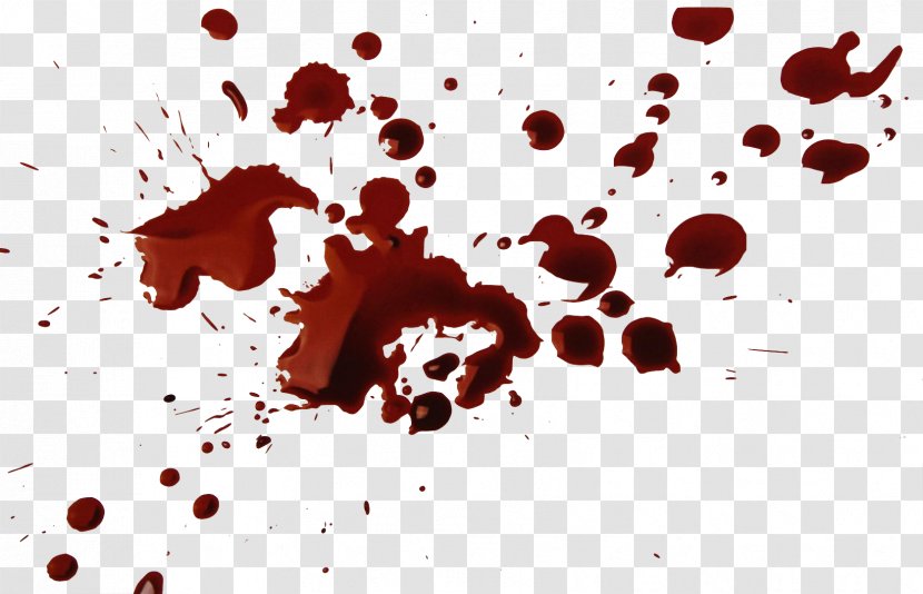 Crime Scene Stock Photography Bloodstain Pattern Analysis - Flower - Blood Spatter Transparent PNG