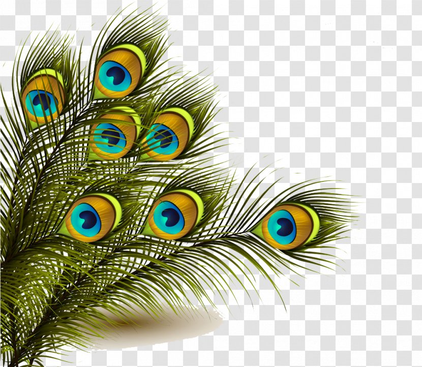 Peafowl Feather Clip Art - Peacock Background Image Transparent PNG