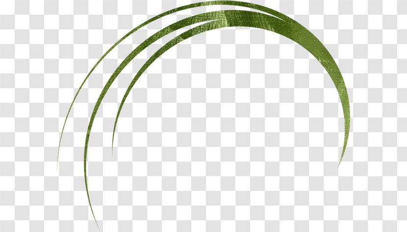 Leaf Circle Angle - Green Transparent PNG