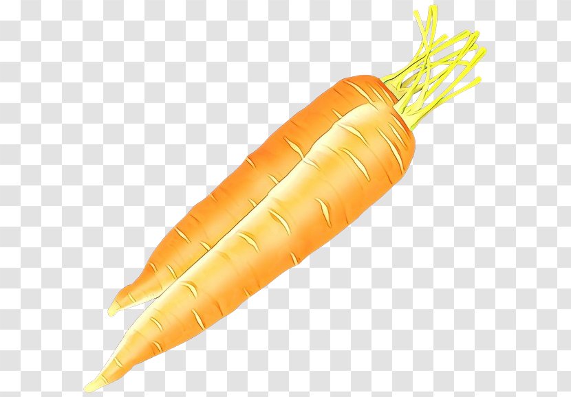 Carrot Vegetable Root Wild Food - Plant Arracacia Xanthorrhiza Transparent PNG