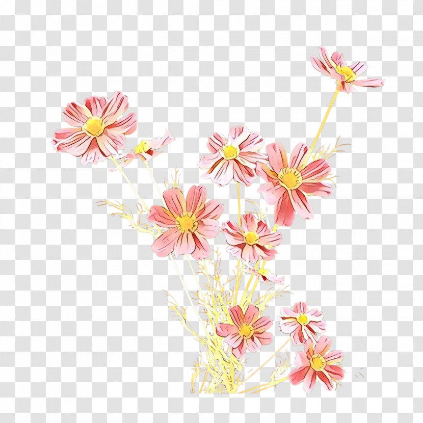 Flower Pink Petal Plant Flowering - Perennial Aster Transparent PNG