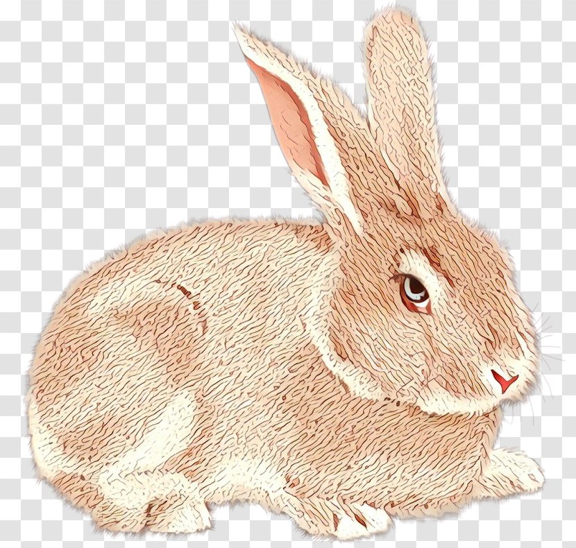 Domestic Rabbit Hare Netherland Dwarf Lt. Judy Hopps Transparent PNG