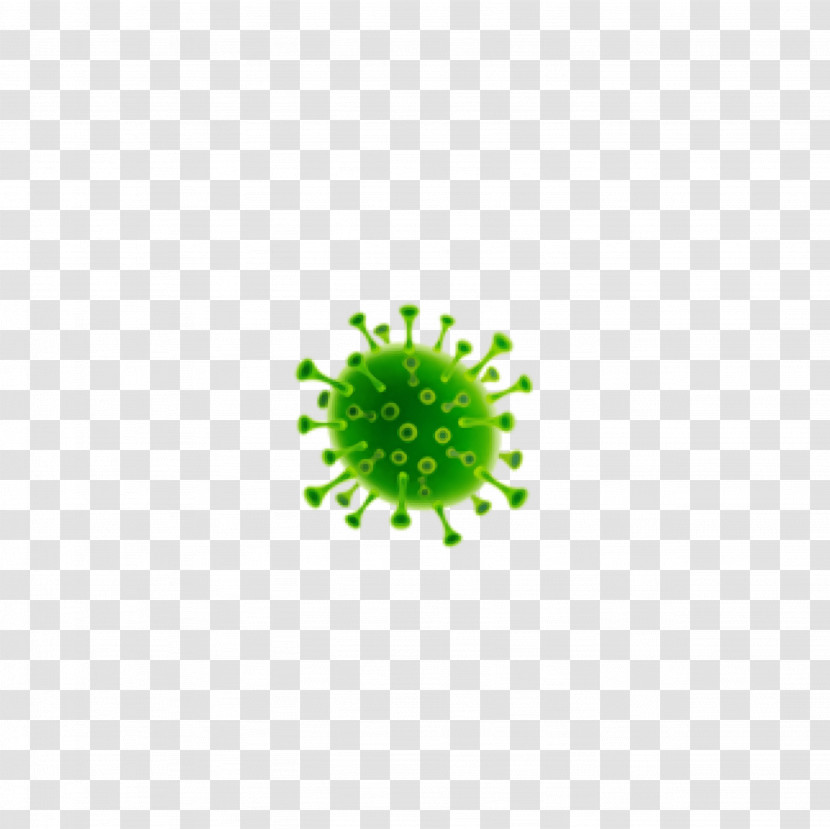 Quarantine Coronavirus Plant Stem Manuel S. Enverga University Foundation Candelaria Transparent PNG