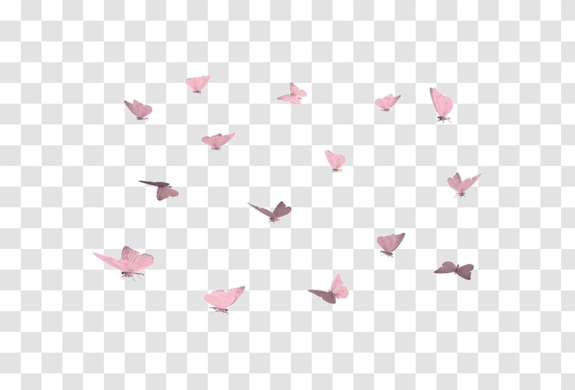 Butterfly Clip Art - Flying - Pink Print Transparent PNG
