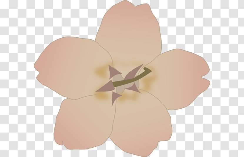 Cherry Blossom Clip Art - Peach Transparent PNG