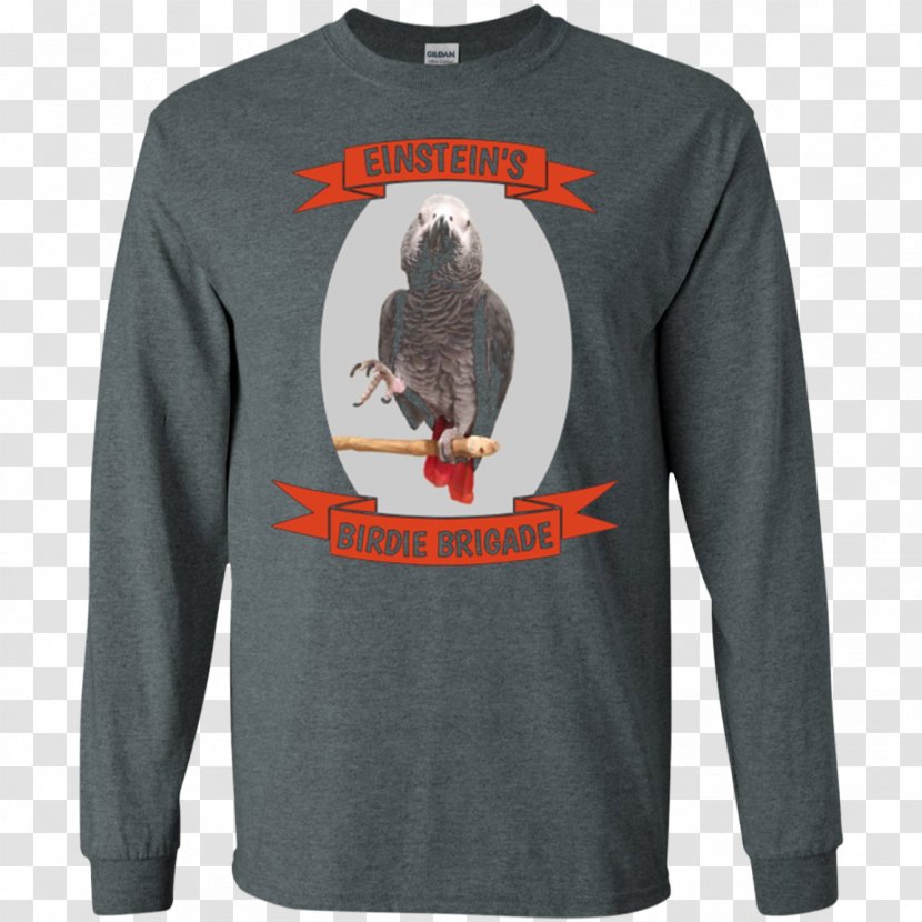 Long-sleeved T-shirt Hoodie - Alternative Apparel - African Grey Parrot Transparent PNG