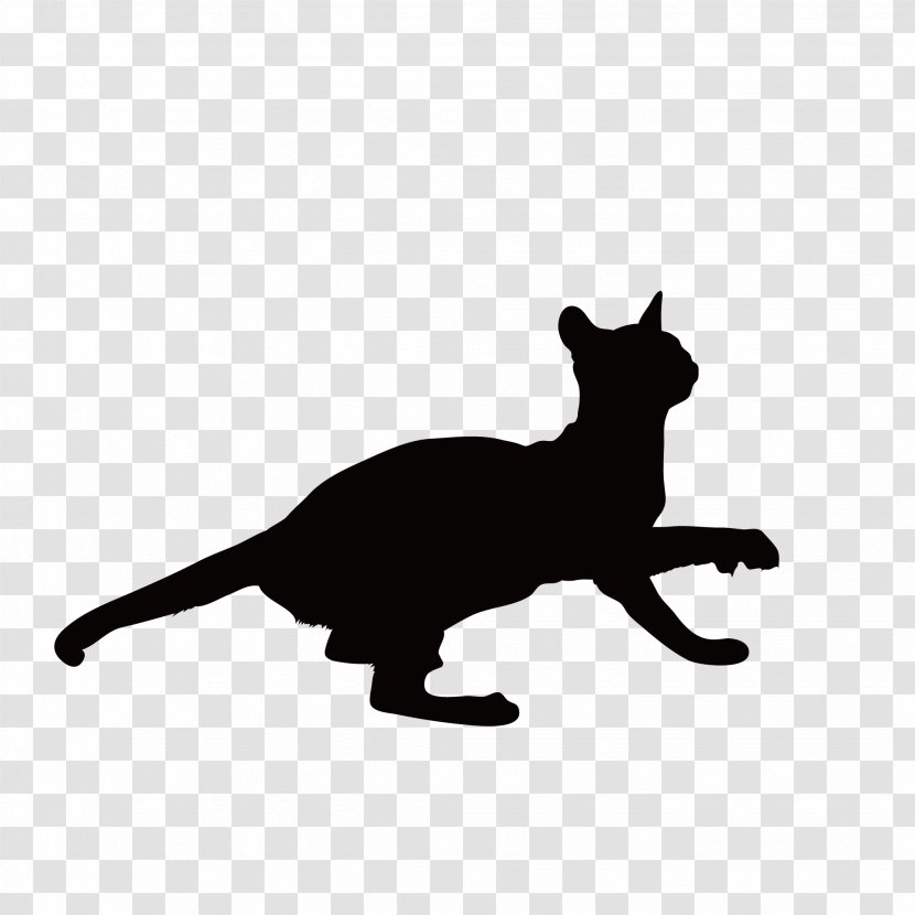 Black Cat Kitten Whiskers Around - Silhouette Transparent PNG