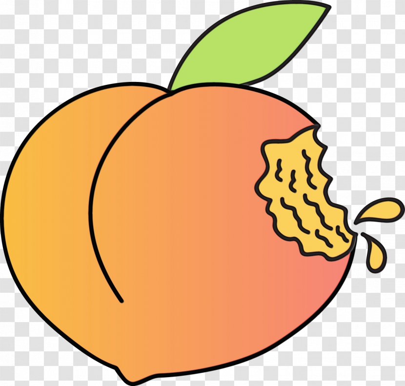 Clip Art Peach Transparency Image - Plant - Fruit Transparent PNG