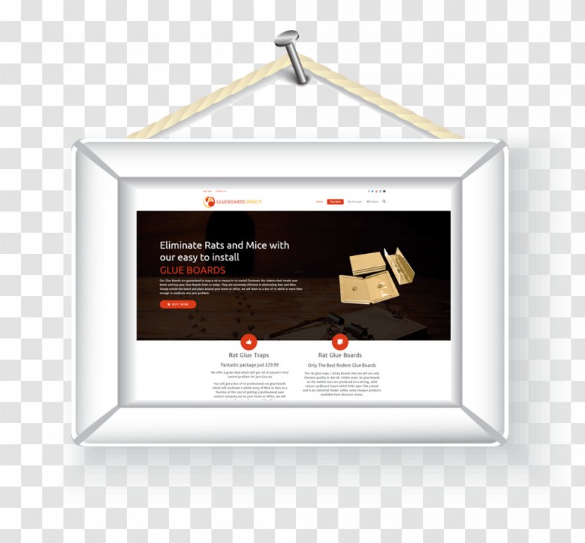 Picture Frames Wall - Brand - Web Design Transparent PNG