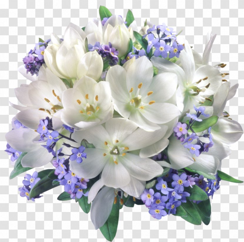 Flower Bouquet Jasmine Clip Art - Plant - Snowdrop Transparent PNG