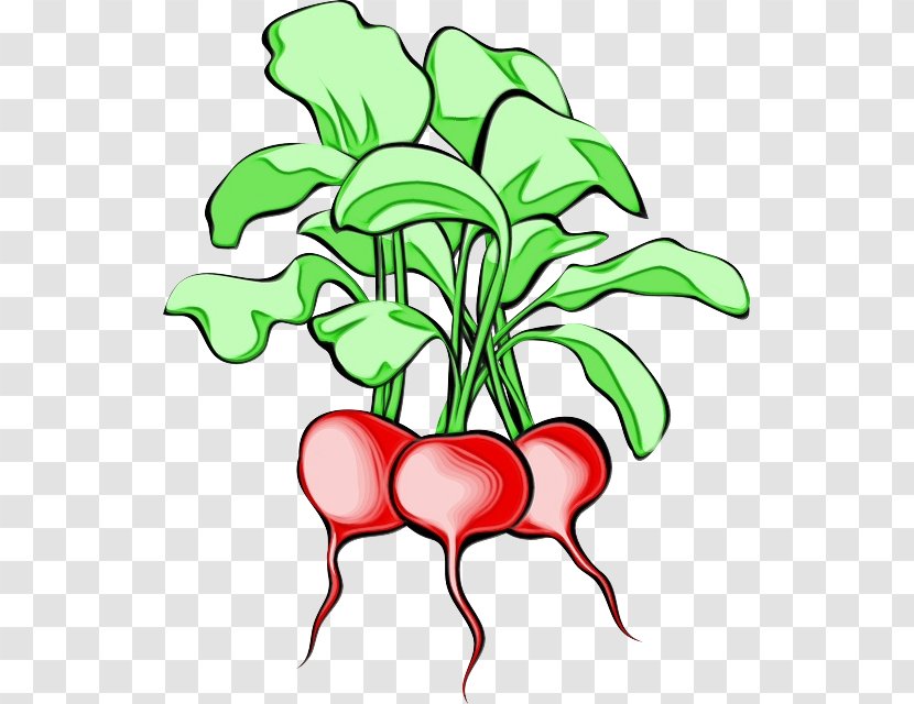Flower Line Art - Vegetable - Flowerpot Transparent PNG