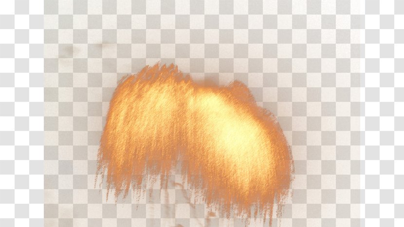 Fur Close-up - Closeup - Fireworks Transparent PNG