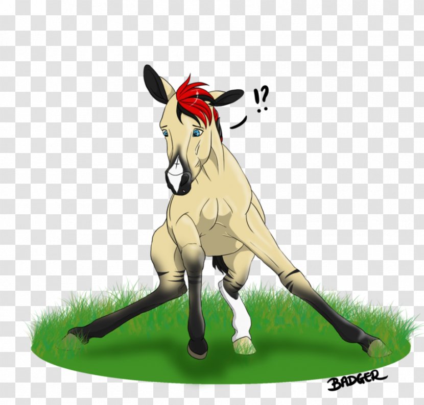 Mustang Donkey Clip Art Macropods Halter Transparent PNG