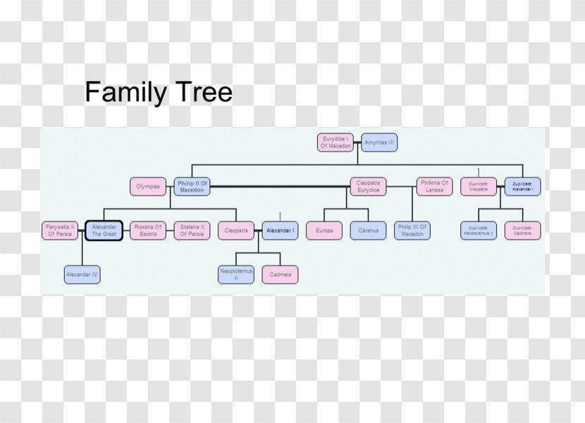 Hades Family Tree Extended Genealogy - Timeline Transparent PNG