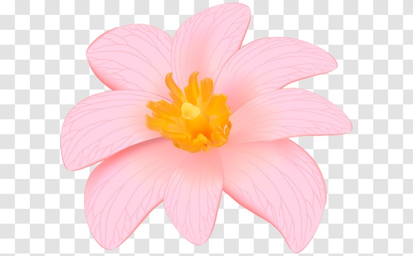 Desktop Wallpaper Pink Flowers Clip Art - Flower - Exotic Transparent PNG