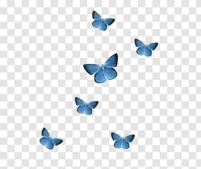 Butterfly Sticker Clip Art - Moths And Butterflies - Mid Osmanthus Transparent PNG