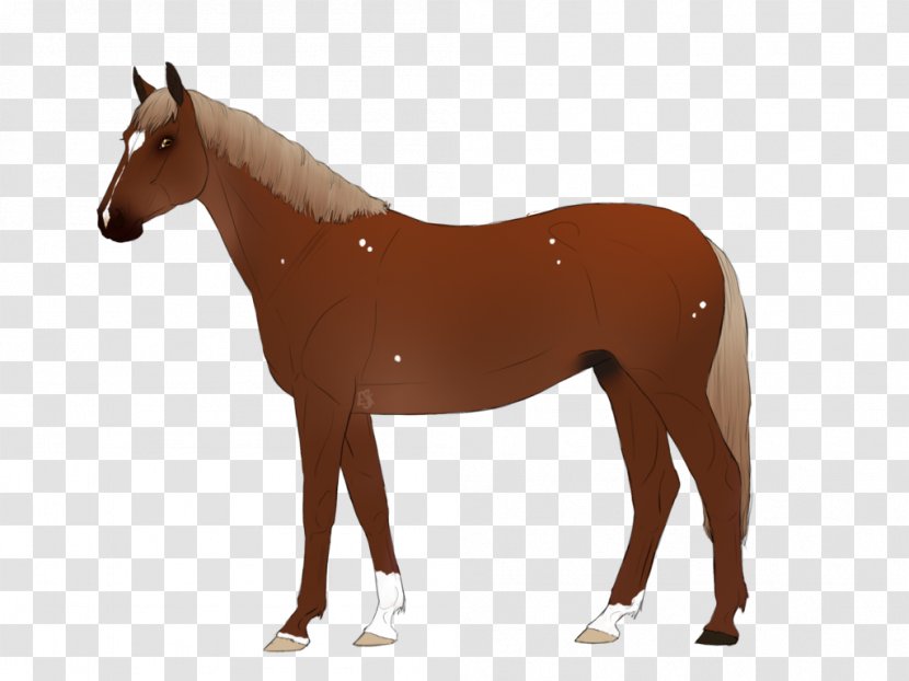 Trakehner American Paint Horse Andalusian Foal Stallion - Breed - Pony Transparent PNG