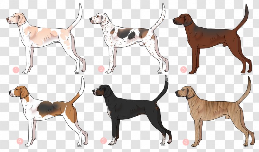 Dog Breed English Foxhound American Coonhound Miniature Pinscher Black And Tan - Leash - Austrian Hound Transparent PNG