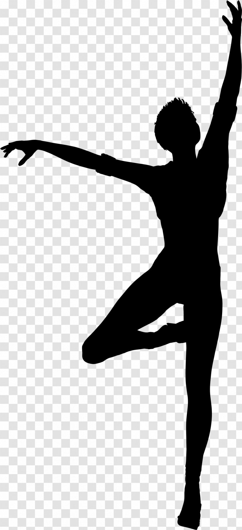 Ballet Dancer Moscow State Academy Of Choreography Silhouette - Frame Transparent PNG