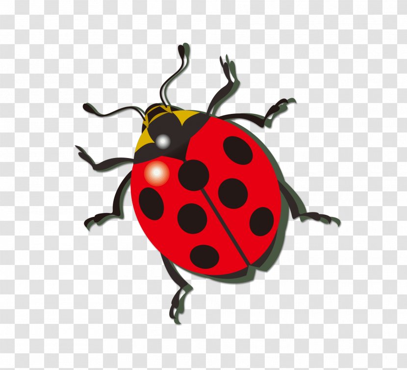 Ladybird Icon - Organism - Ladybug Transparent PNG