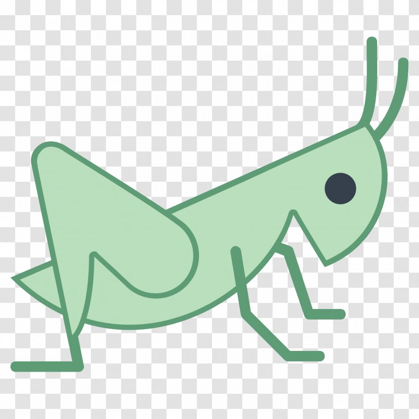 Grasshopper Clip Art - Cricket Transparent PNG