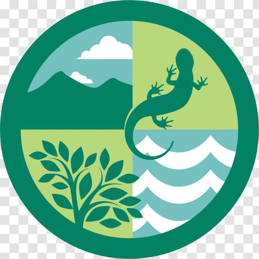 Ecosystem Forest Ecology Logo Natural Environment - Grass - Edu Transparent PNG